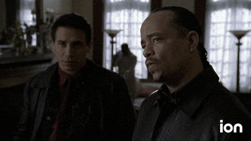 Law And Order Svu Help GIF by ION
